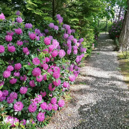 Strandvilla Hubertus - H7 - Maisonette Kandinsky Mit Seitlichem Meerblick Parkplatz Wlan Voll Ausgestattete Kueche Garten Grillplatz Waldbaden Familie Suedlage *