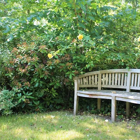 Strandvilla Hubertus - H7 - Maisonette Kandinsky Mit Seitlichem Meerblick Parkplatz Wlan Voll Ausgestattete Kueche Garten Grillplatz Waldbaden Familie Suedlage * Boltenhagen (Ostseebad)