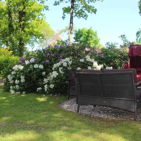 Strandvilla Hubertus - H7 - Maisonette Kandinsky Mit Seitlichem Meerblick Parkplatz Wlan Voll Ausgestattete Kueche Garten Grillplatz Waldbaden Familie Suedlage