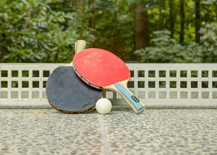 Strandvilla Hubertus - H7 - Maisonette Kandinsky Mit Seitlichem Meerblick Parkplatz Wlan Voll Ausgestattete Kueche Garten Grillplatz Waldbaden Familie Suedlage Appartement