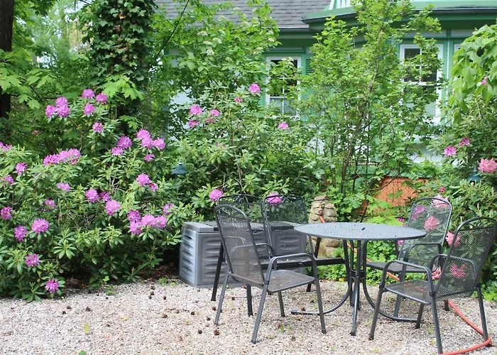 Appartement Strandvilla Hubertus - H7 - Maisonette Kandinsky Mit Seitlichem Meerblick Parkplatz Wlan Voll Ausgestattete Kueche Garten Grillplatz Waldbaden Familie Suedlage *