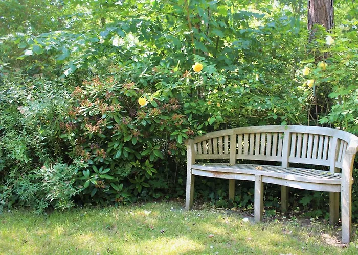 Strandvilla Hubertus - H7 - Maisonette Kandinsky Mit Seitlichem Meerblick Parkplatz Wlan Voll Ausgestattete Kueche Garten Grillplatz Waldbaden Familie Suedlage * Boltenhagen (Ostseebad)